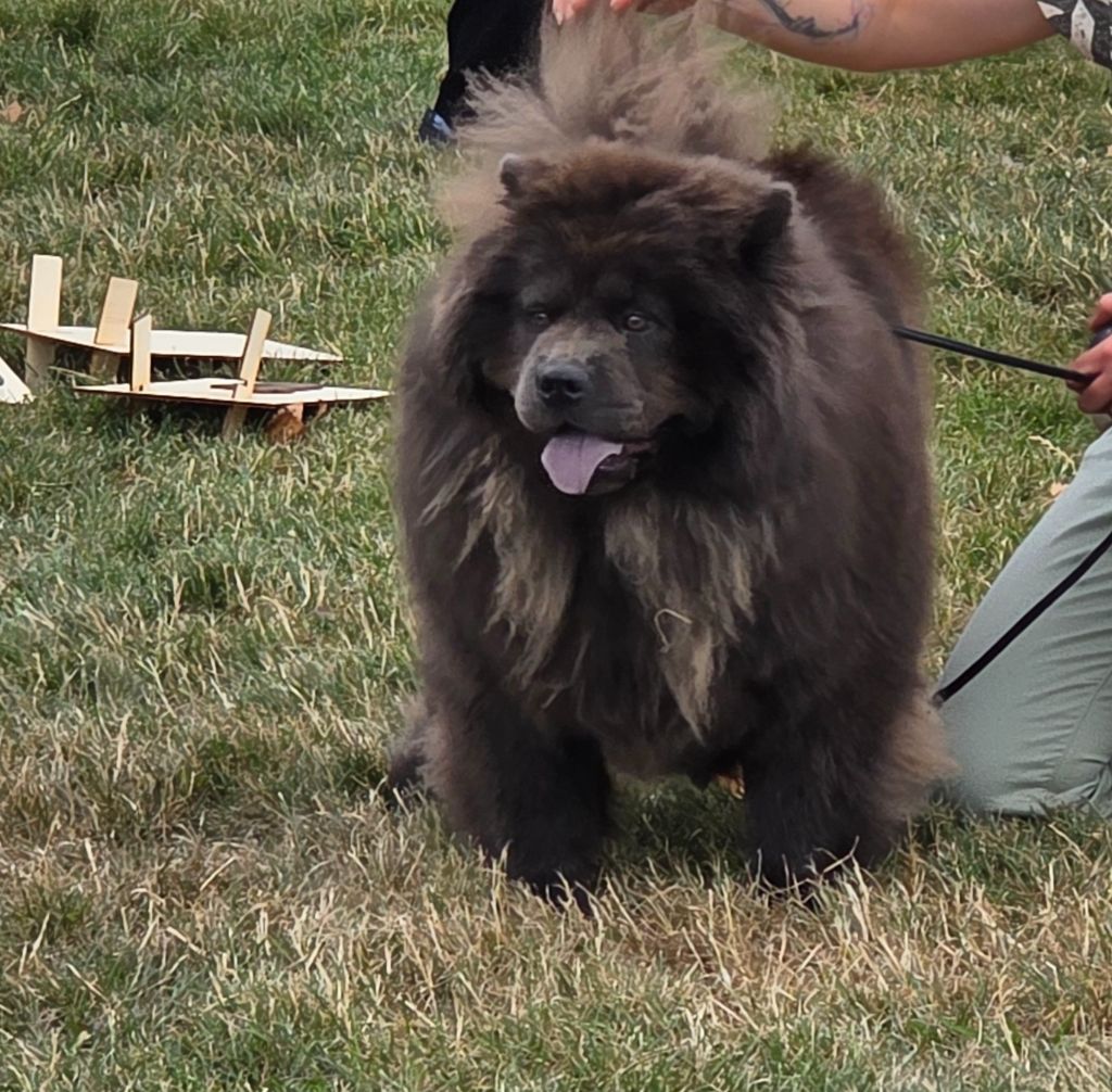 Myrtille (Sans Affixe)