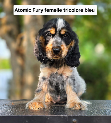 Atomic Fury